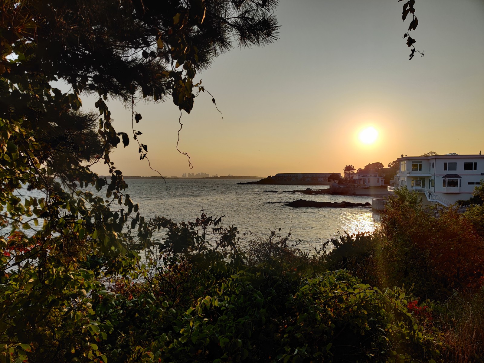 Bailey's Hill (Bailey's Point) banner image