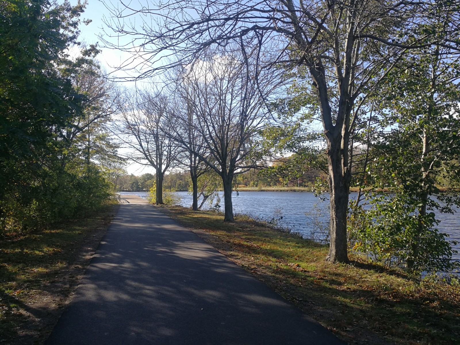 Christian Herter Park banner image