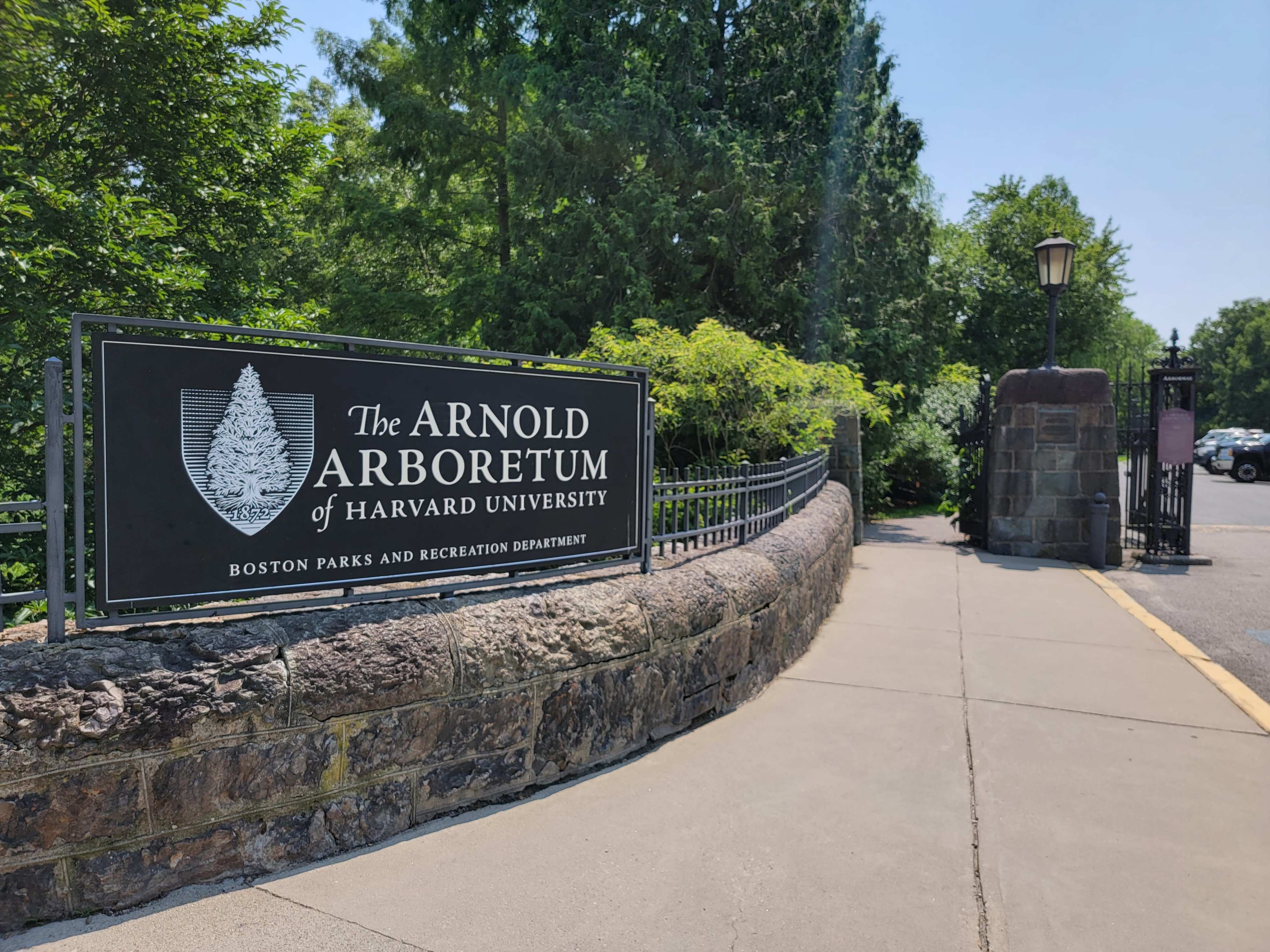 The Arnold Arboretum banner image