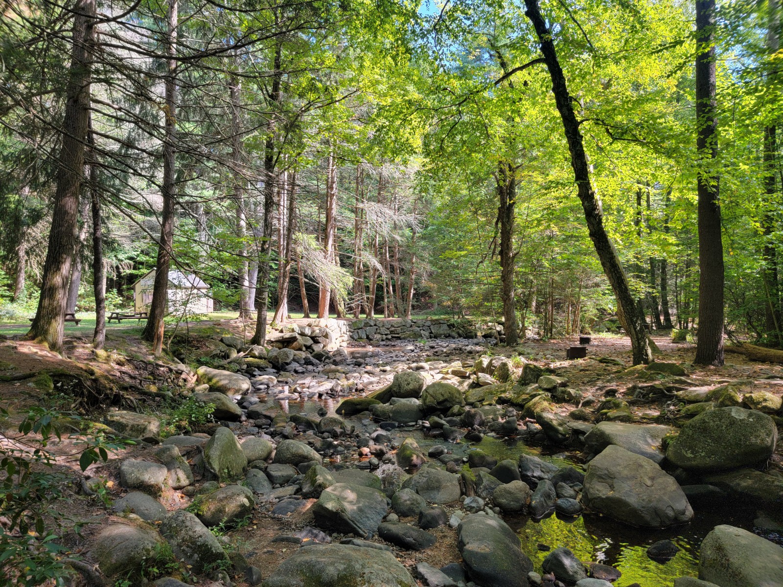 Willard Brook State Forest - Trap Falls banner image