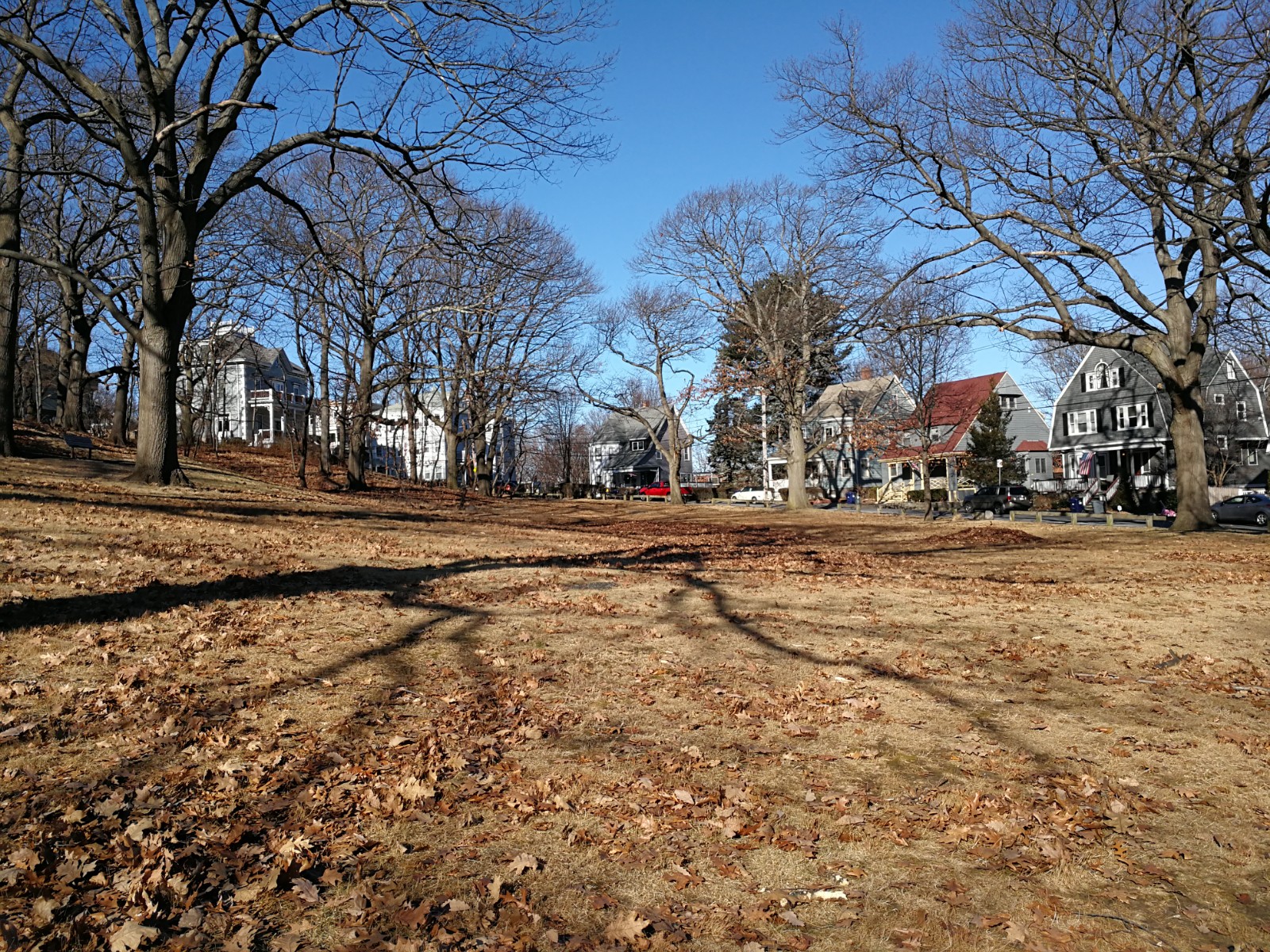 Savin Hill Park banner image