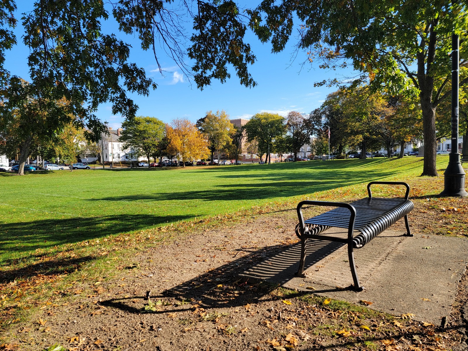 Bronstein Park banner image