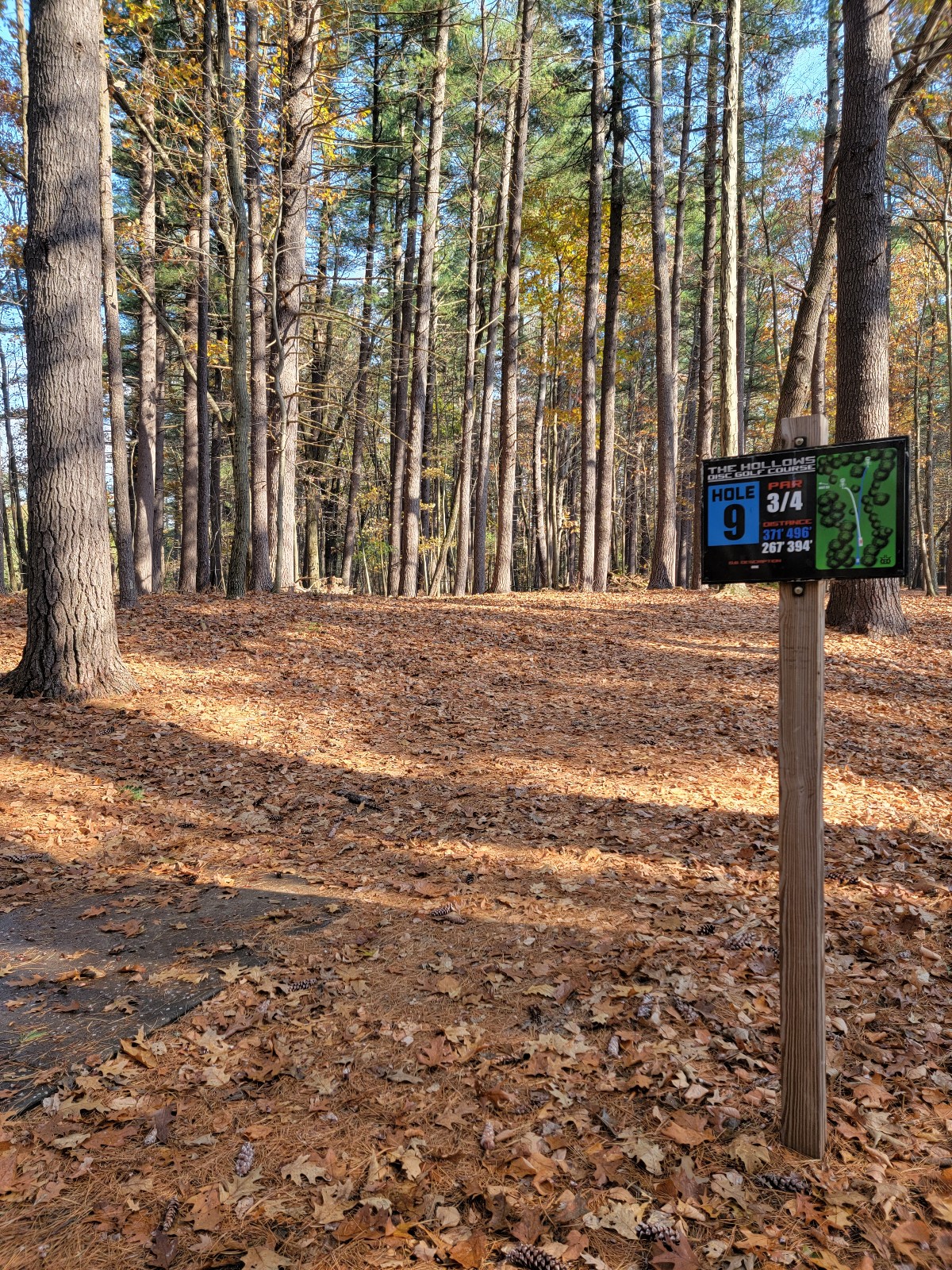 The Hollows Disc Golf Course banner image