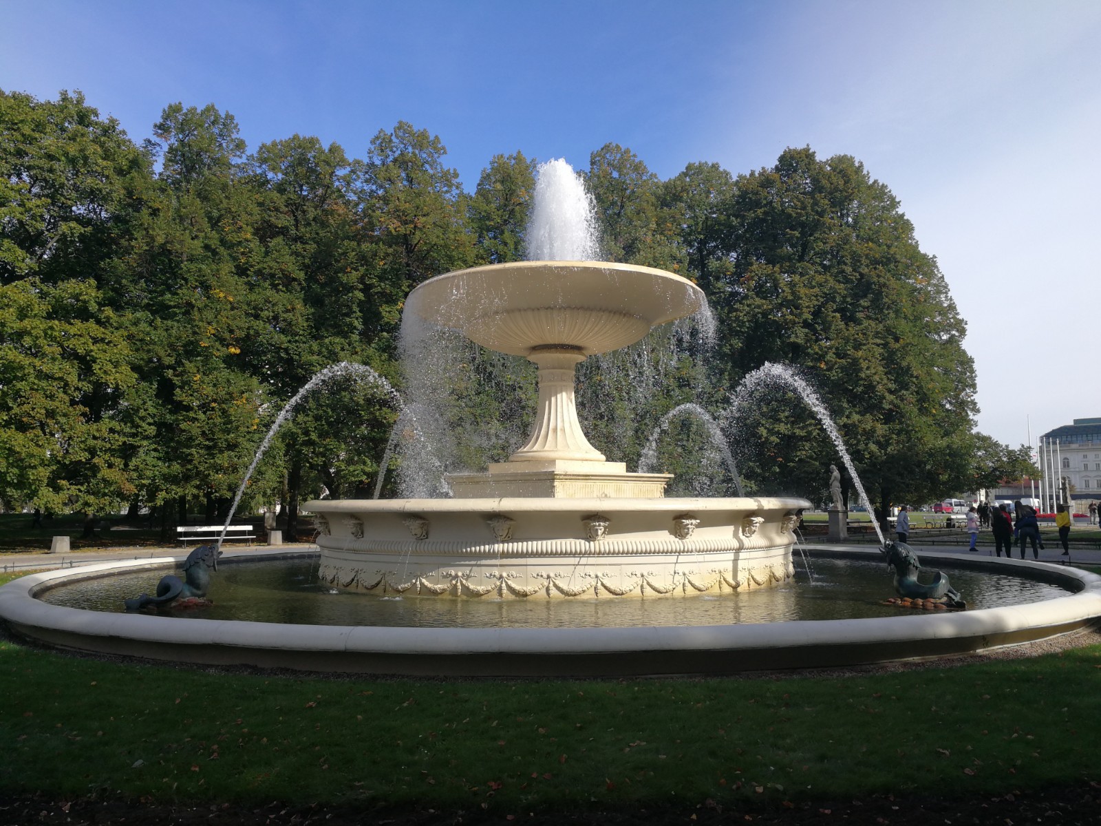 Saxon Garden banner image