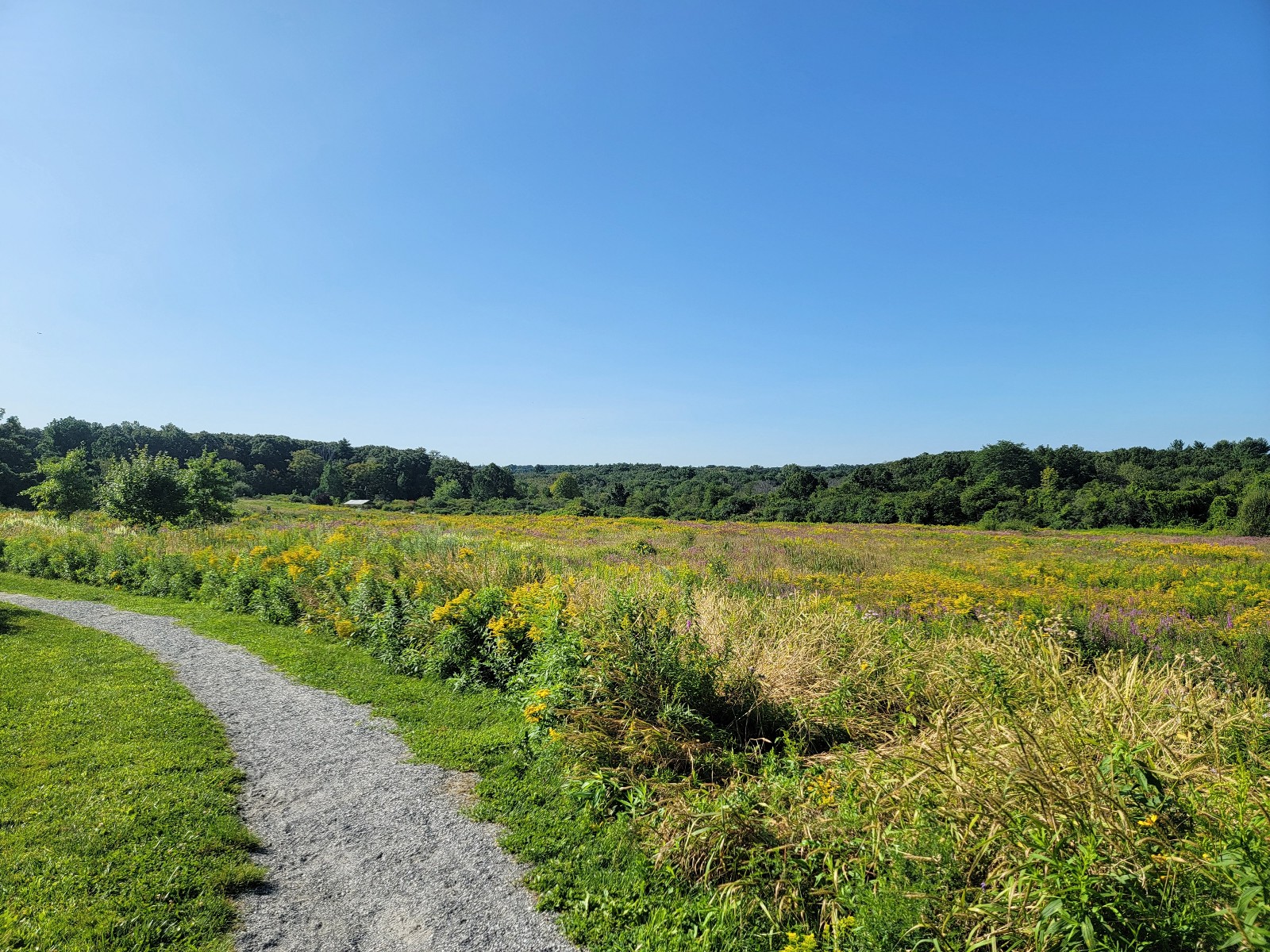Mary Cummings Park banner image