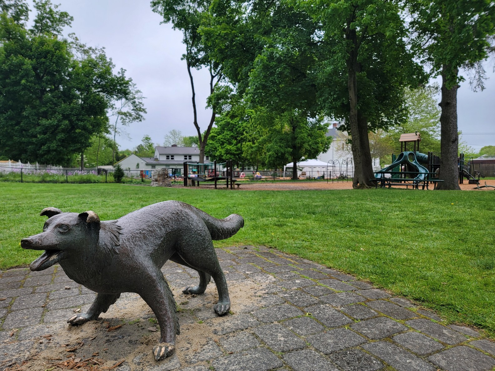Hannah Williams Playground banner image
