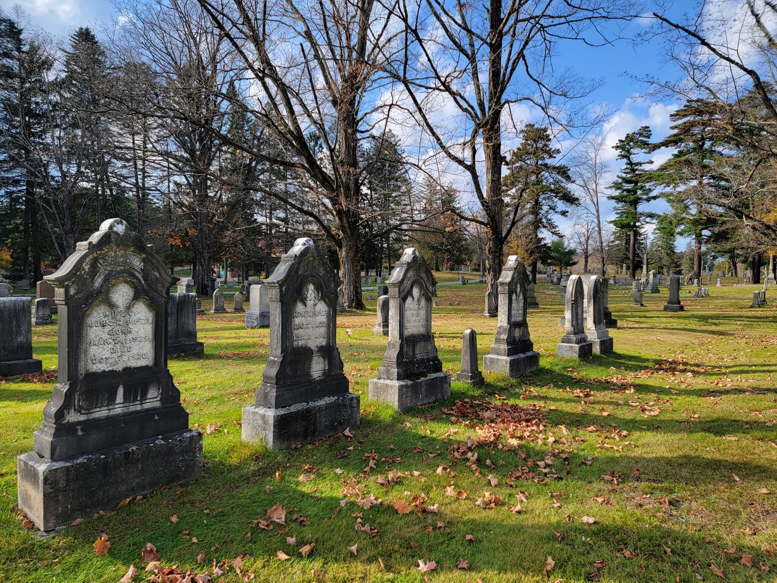Pine Grove Cemetery banner image