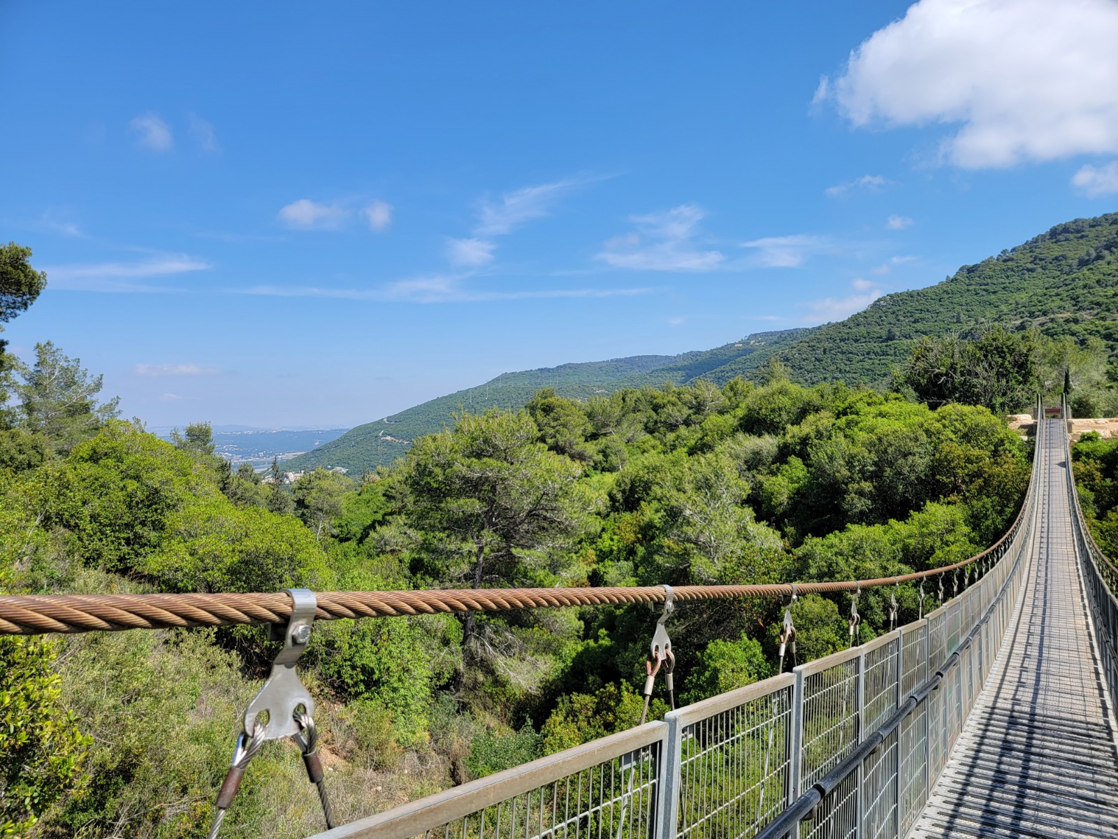Nesher Park (Hanging Bridges) banner image