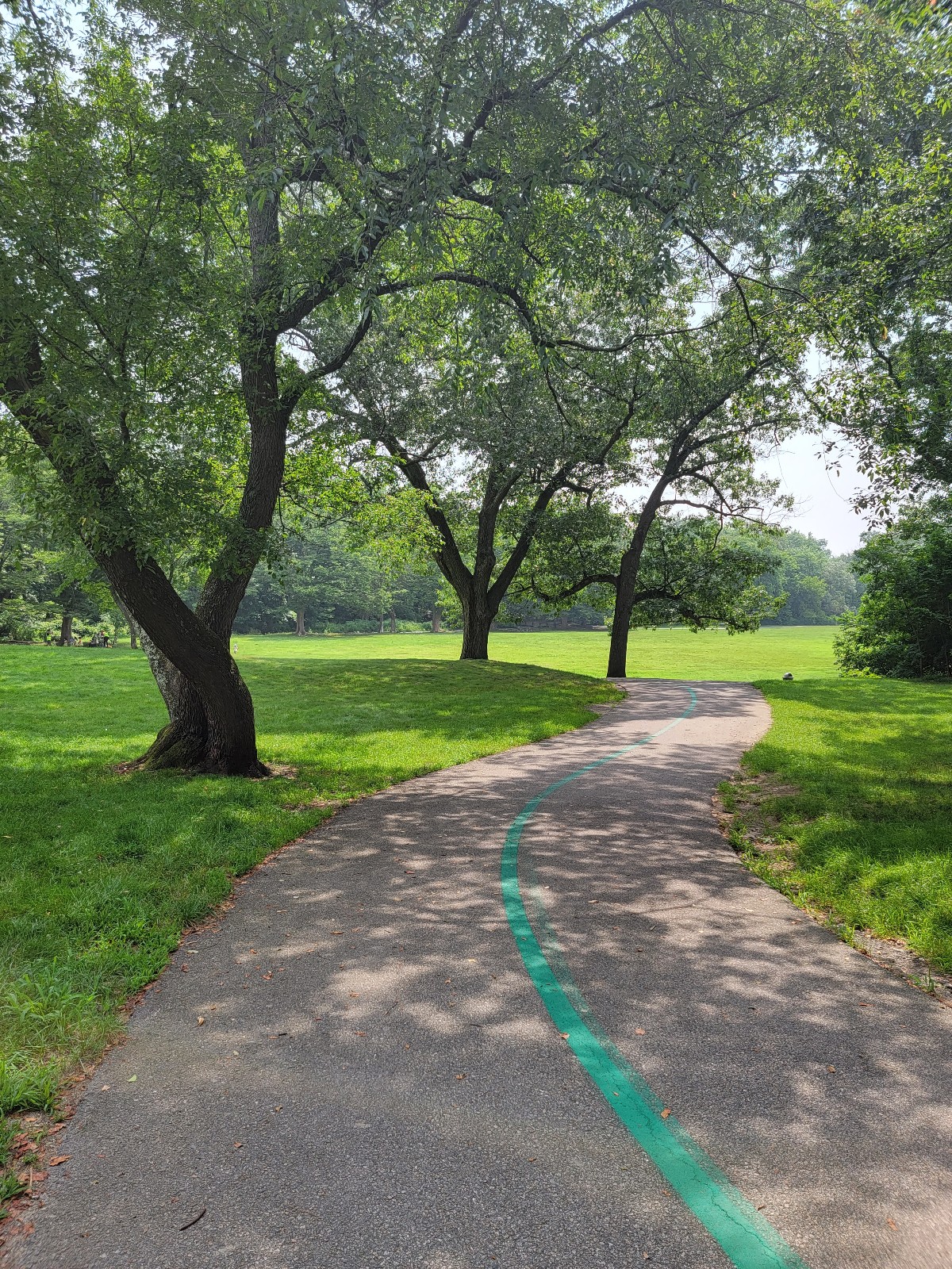 Beaver Brook Reservation banner image