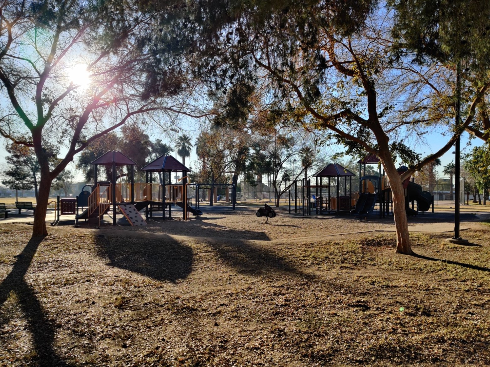 Perry Park banner image