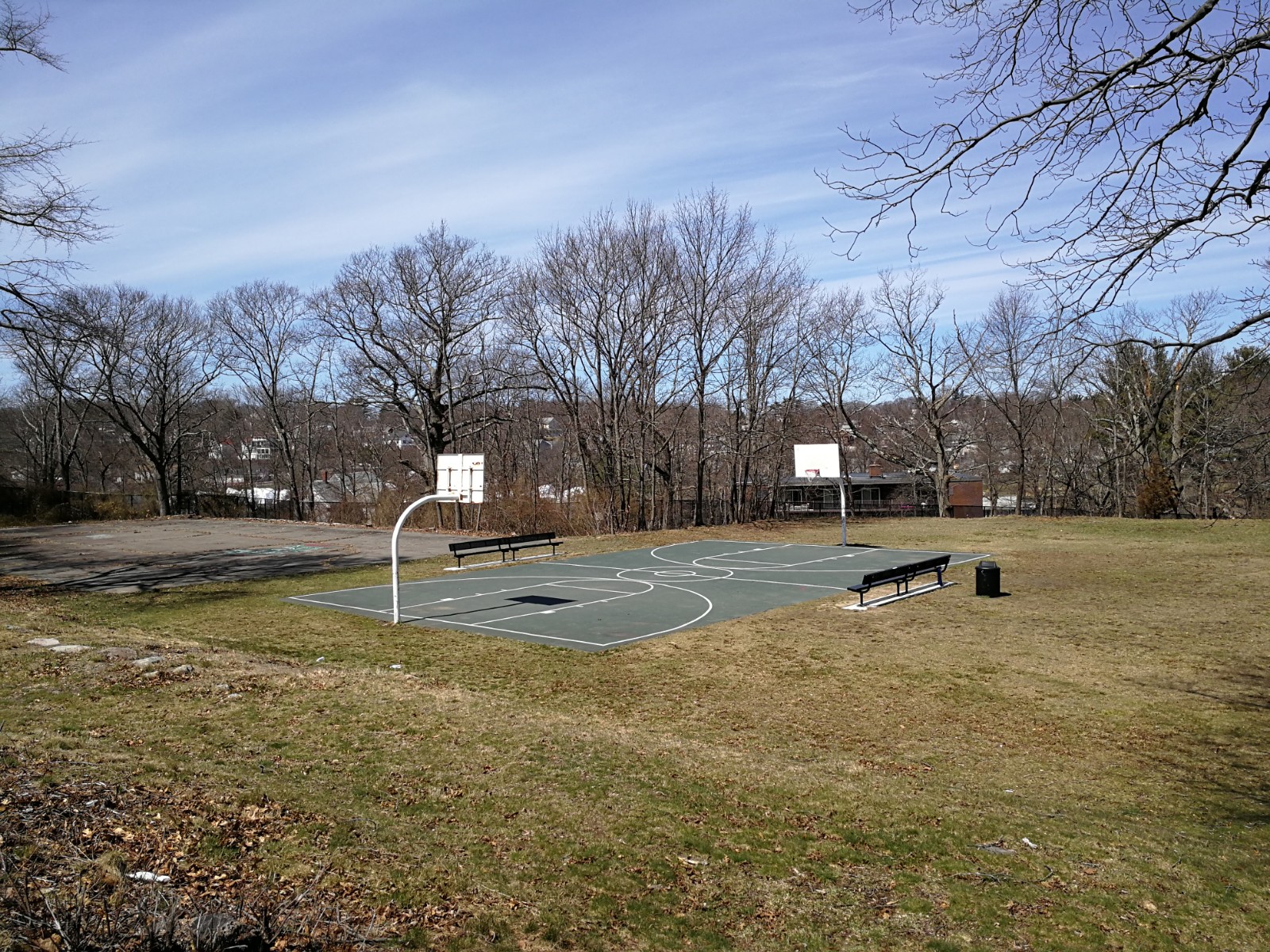 Webb Park banner image