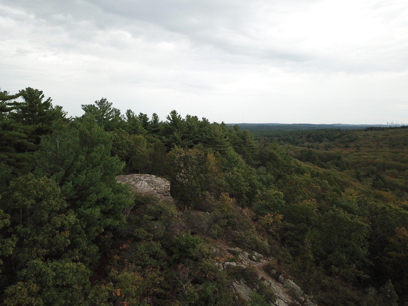 Noanet Woodlands (Hale Reservation) banner image
