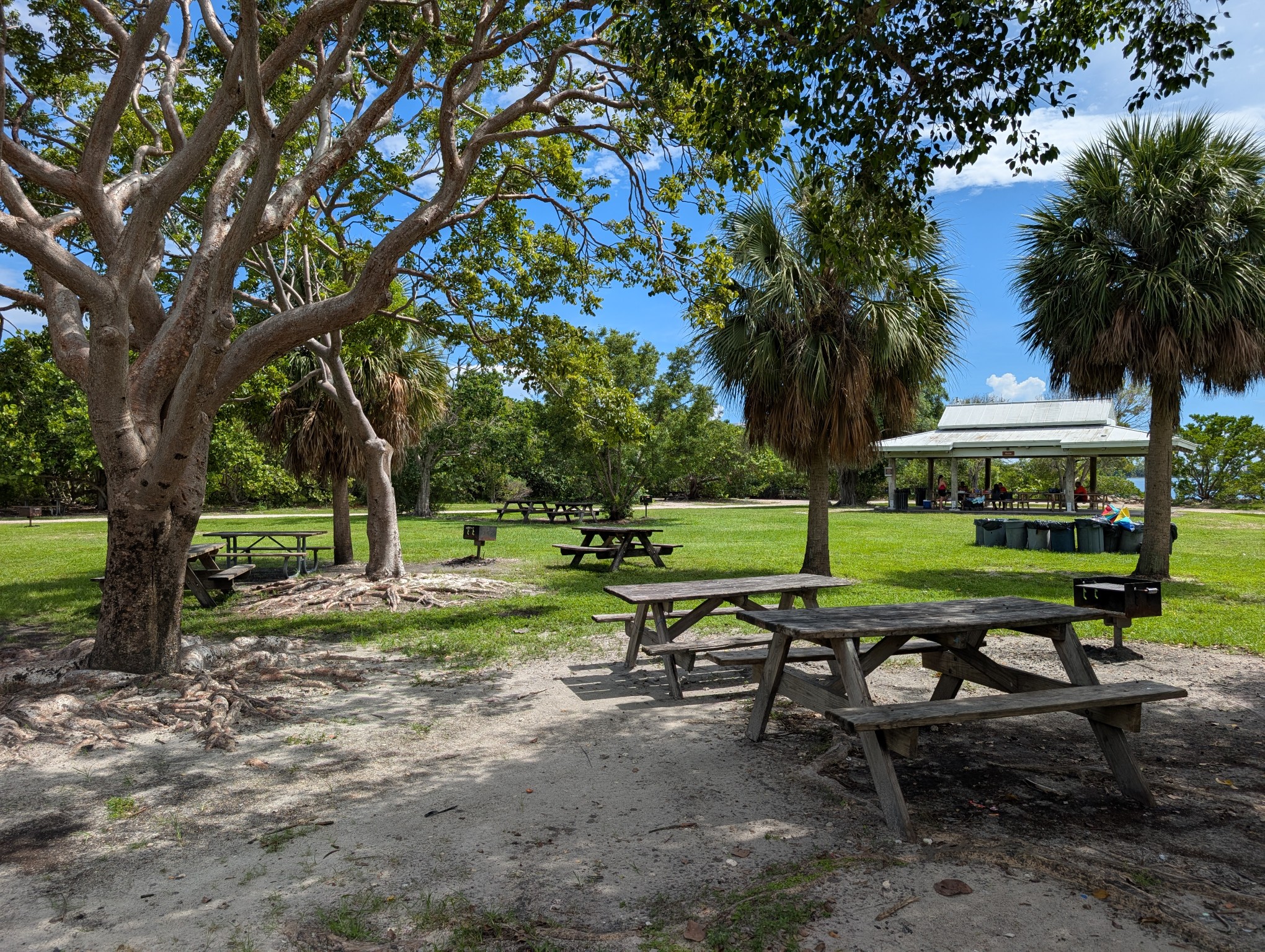 Oleta River State Park banner image