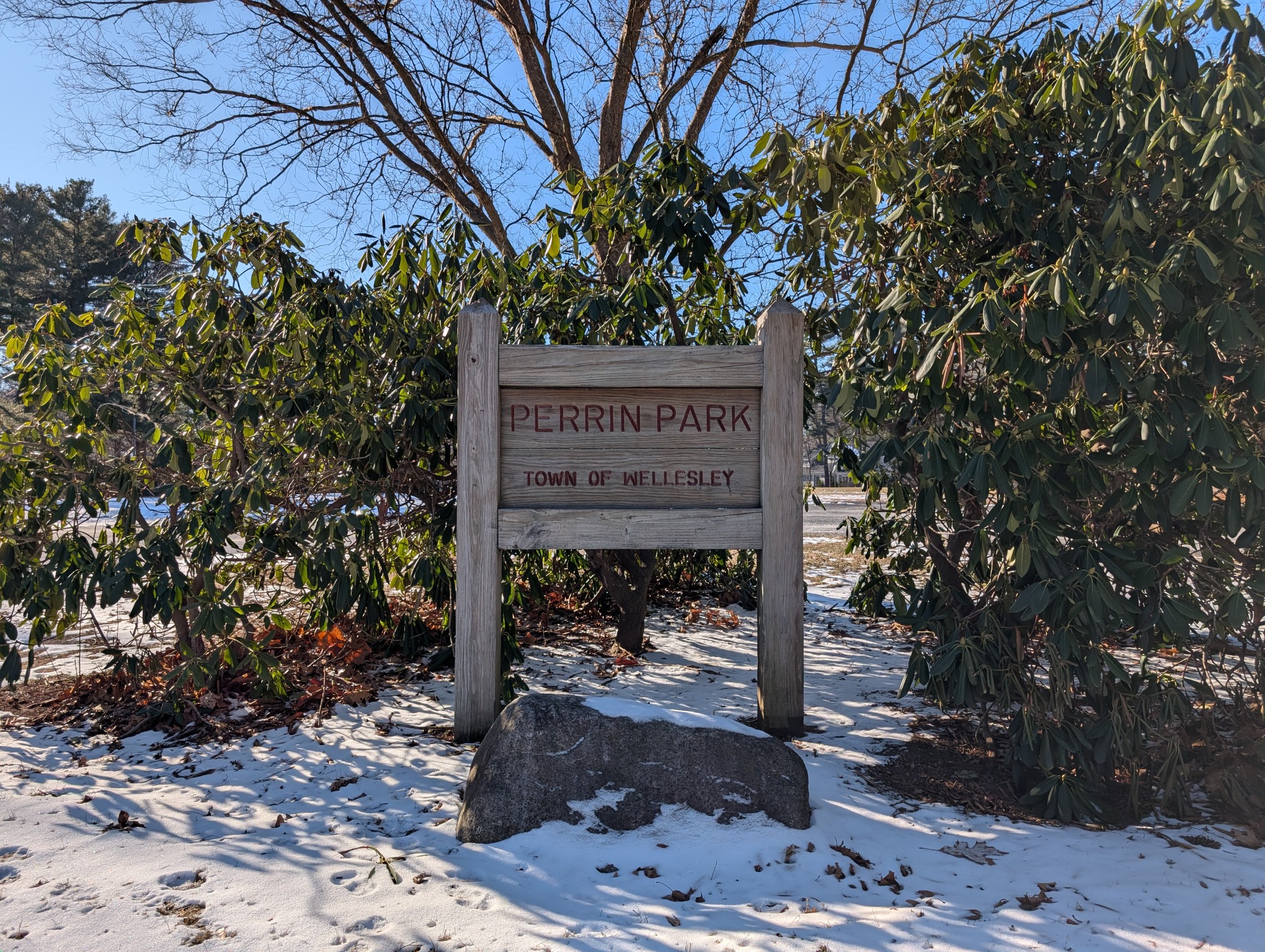 Perrin Park banner image