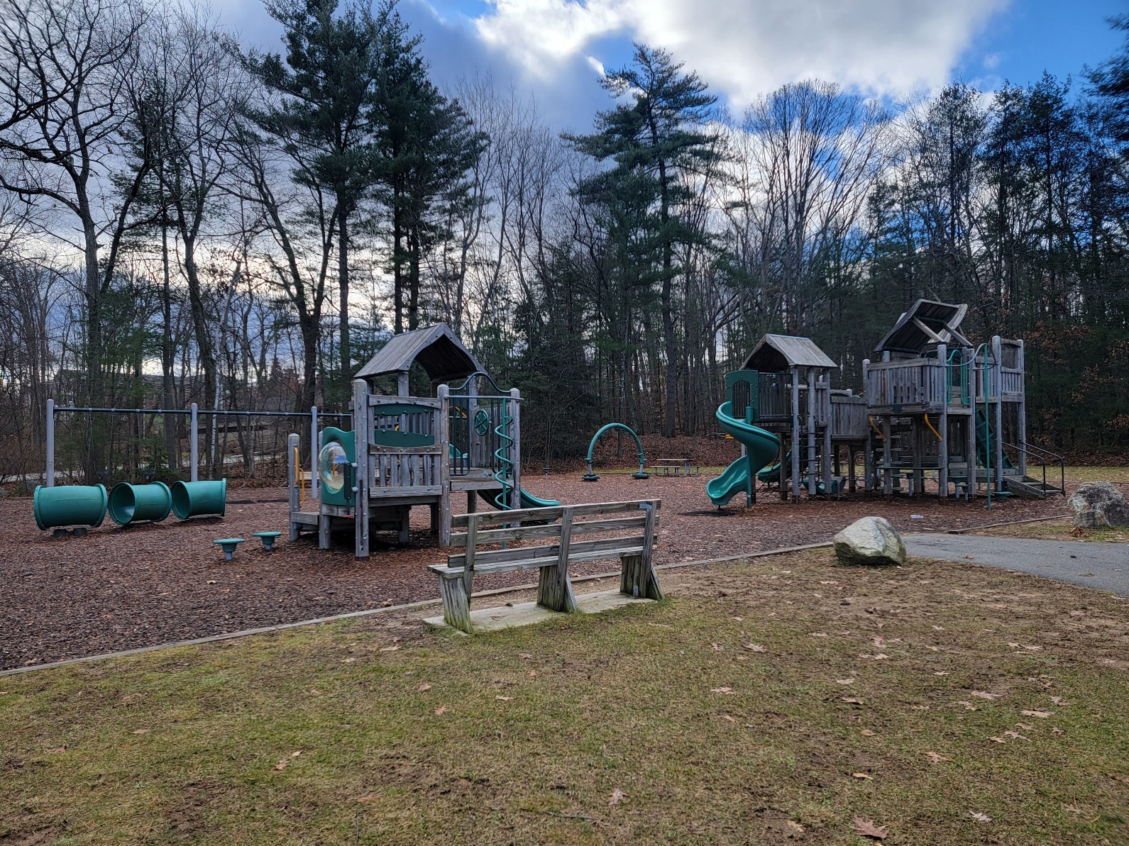 Roy Park banner image