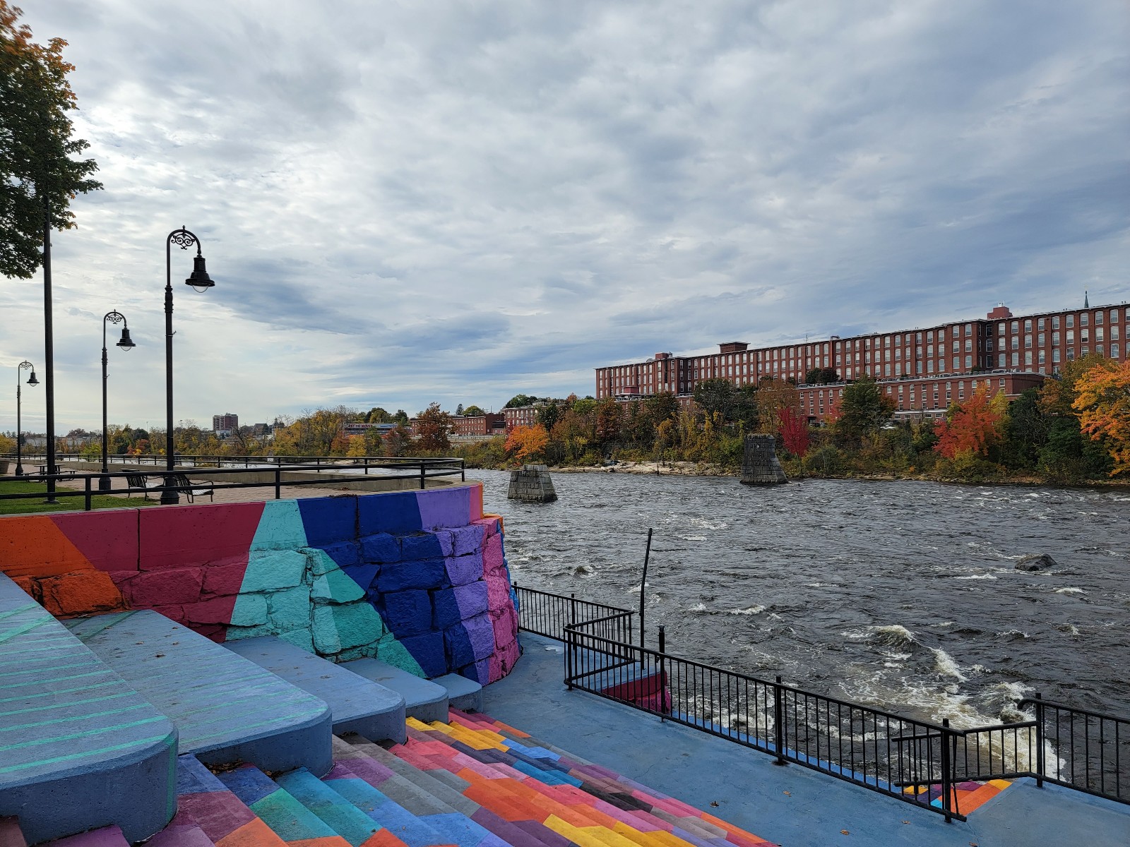 Arms Park banner image