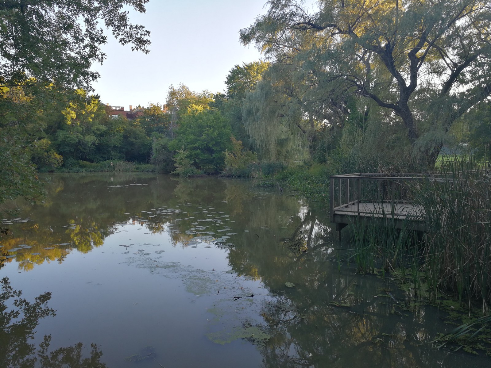 Amory Playground (Hall's Pond Sanctuary) banner image