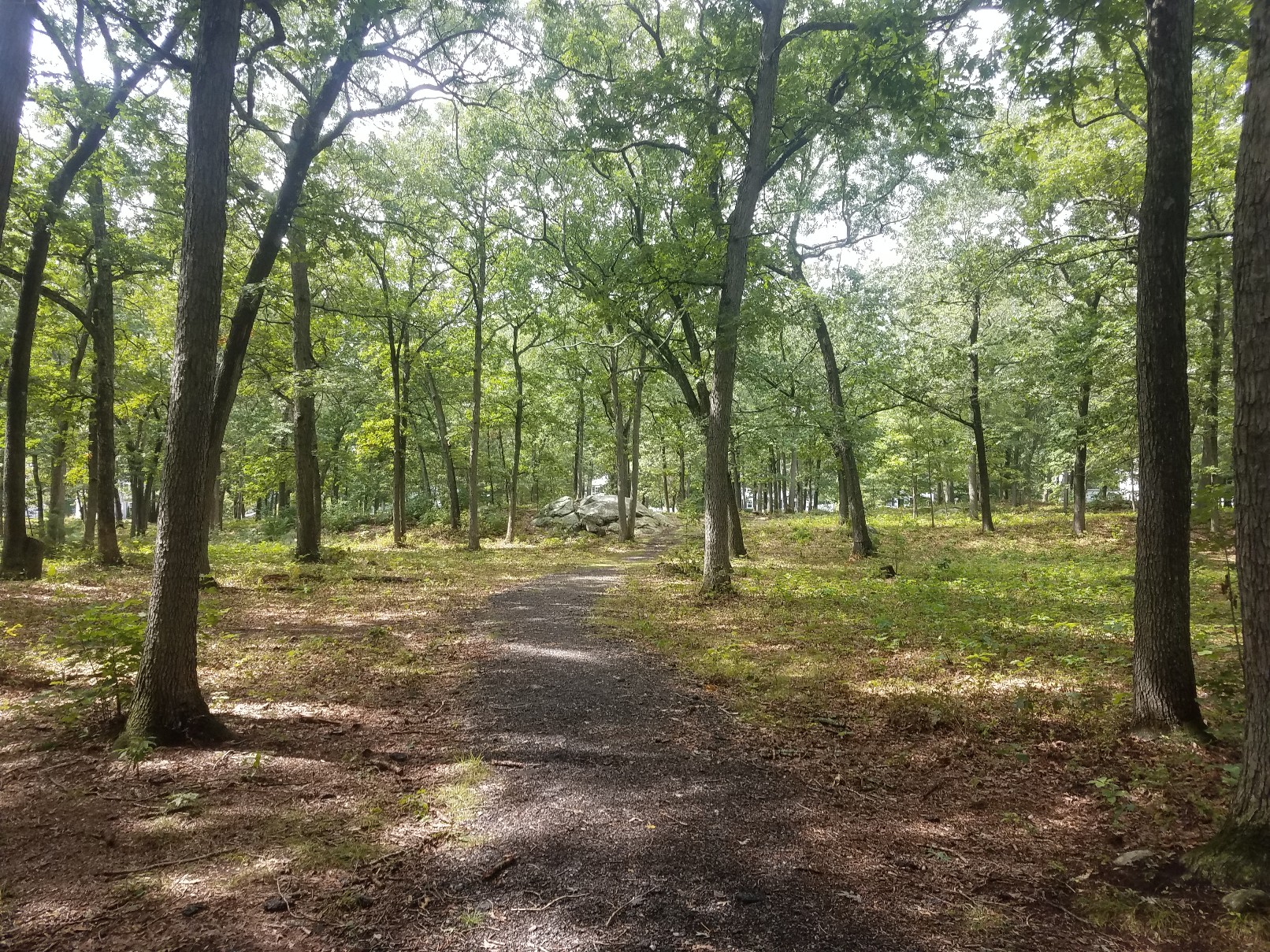 Shattuck Park banner image