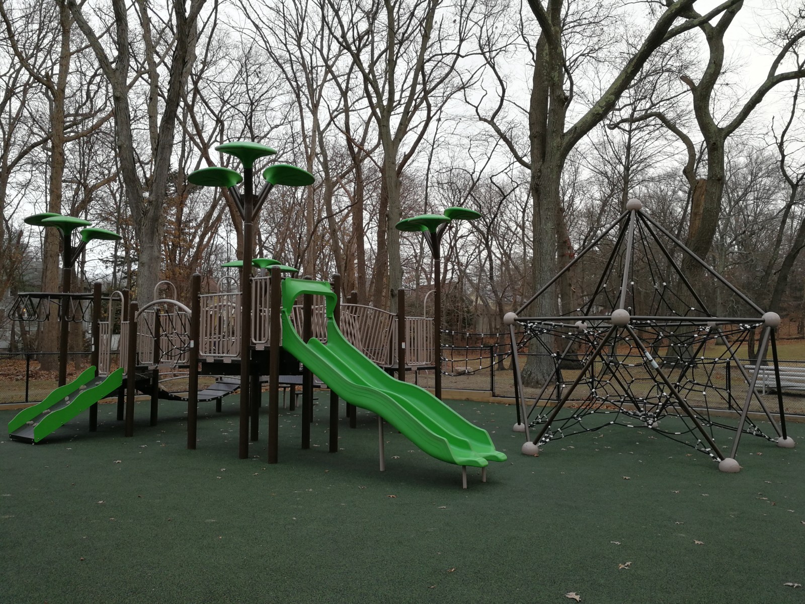 Shields Park banner image