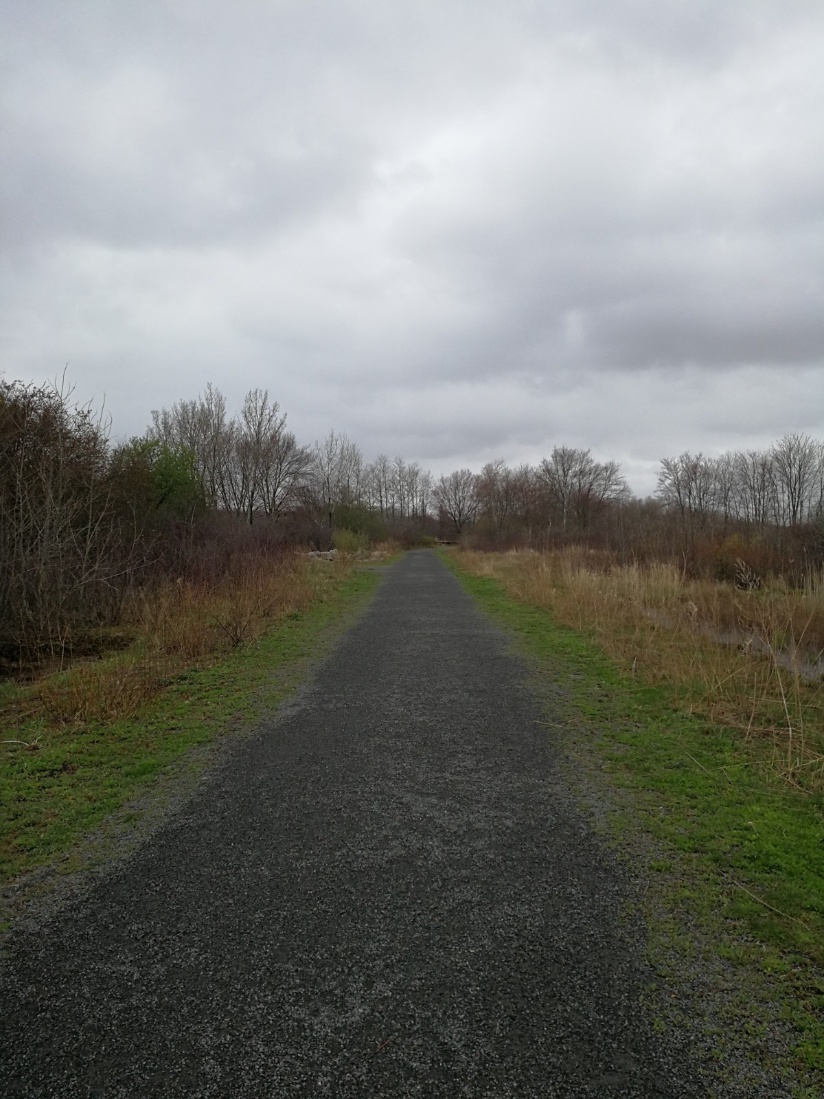 Farnham Jr. & Connolly Jr. Memorial Park banner image