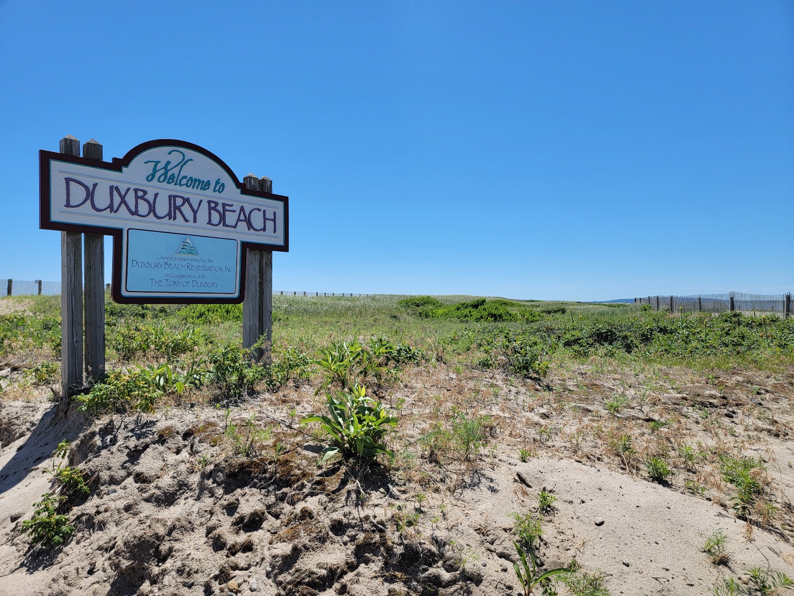 Duxbury Beach banner image