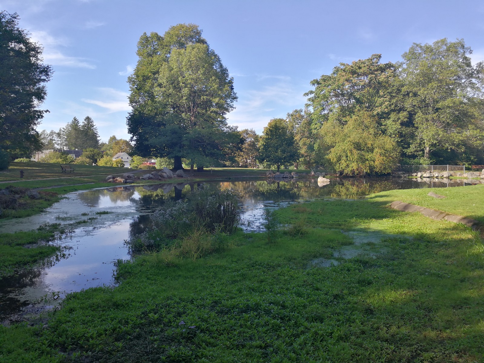 Francis William Bird Park banner image