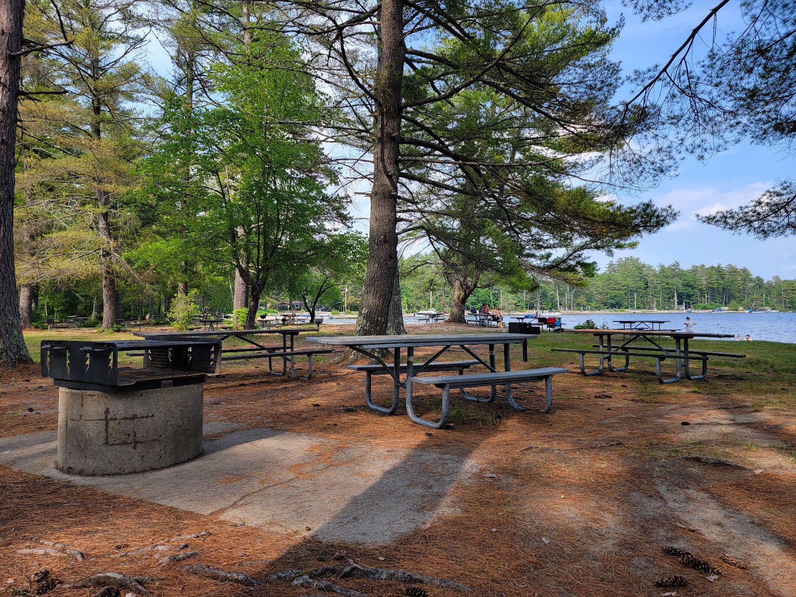 Wentworth State Park (Clow's Beach) banner image