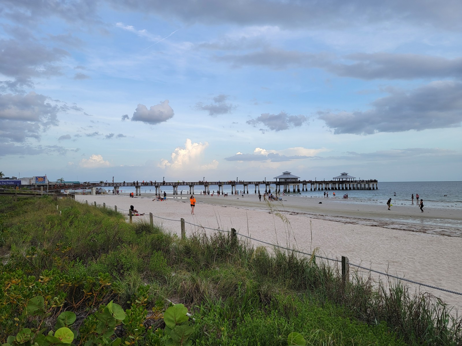 Lynn Hall Memorial Park banner image