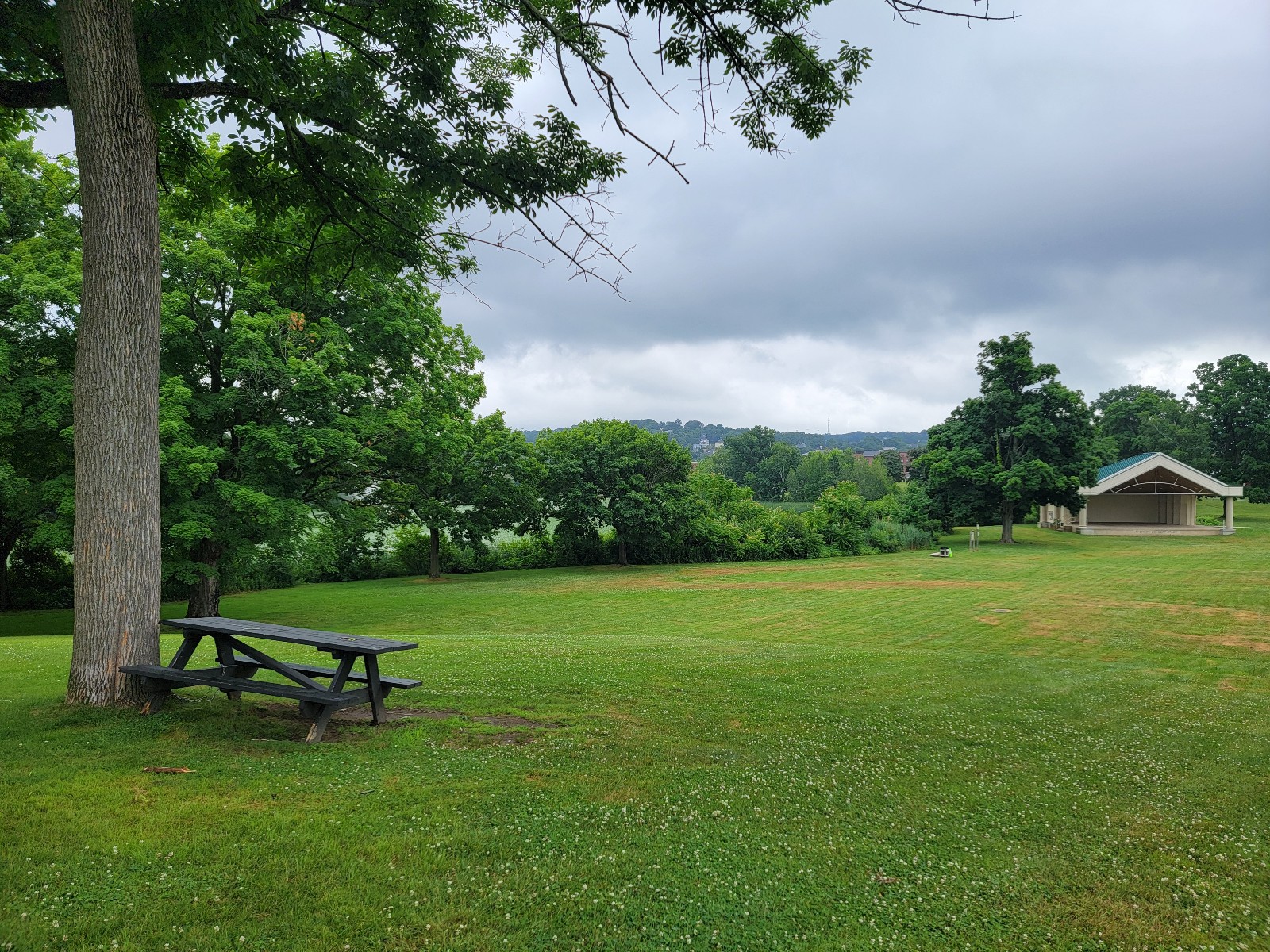 Institute Park banner image