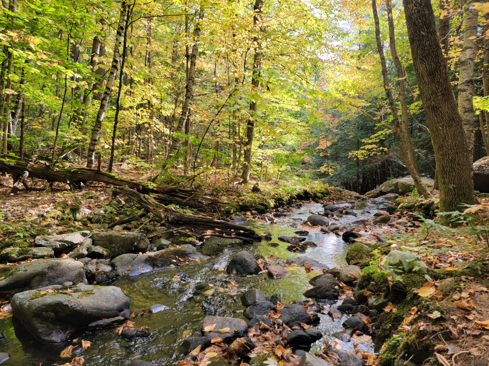 Castle in the Clouds - Brook Walk banner image