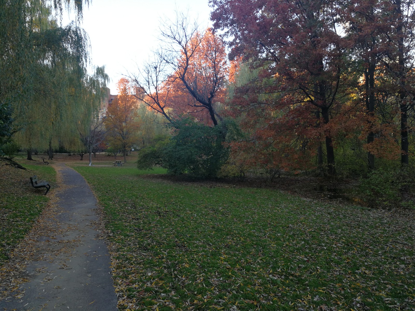 Griggs Park banner image