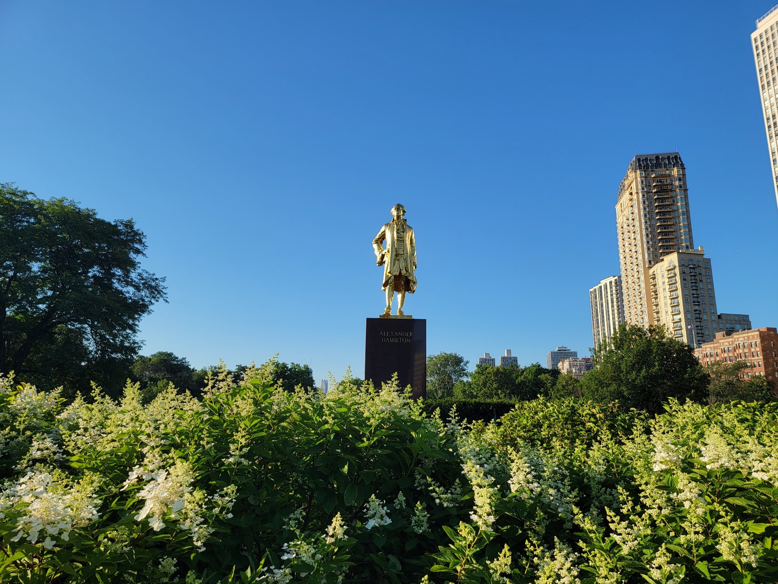 Lincoln Park banner image