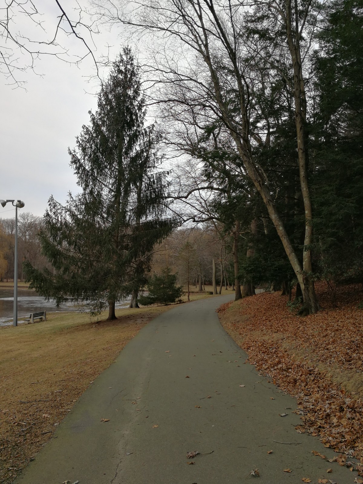 Cunningham Park banner image