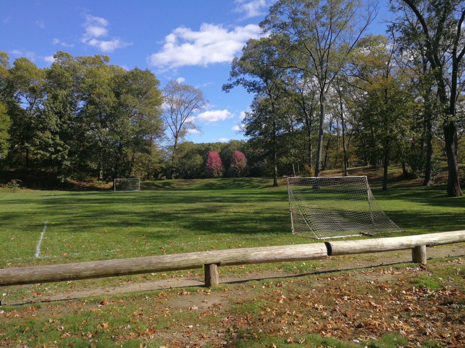 IMG_20181022_130313.jpg
