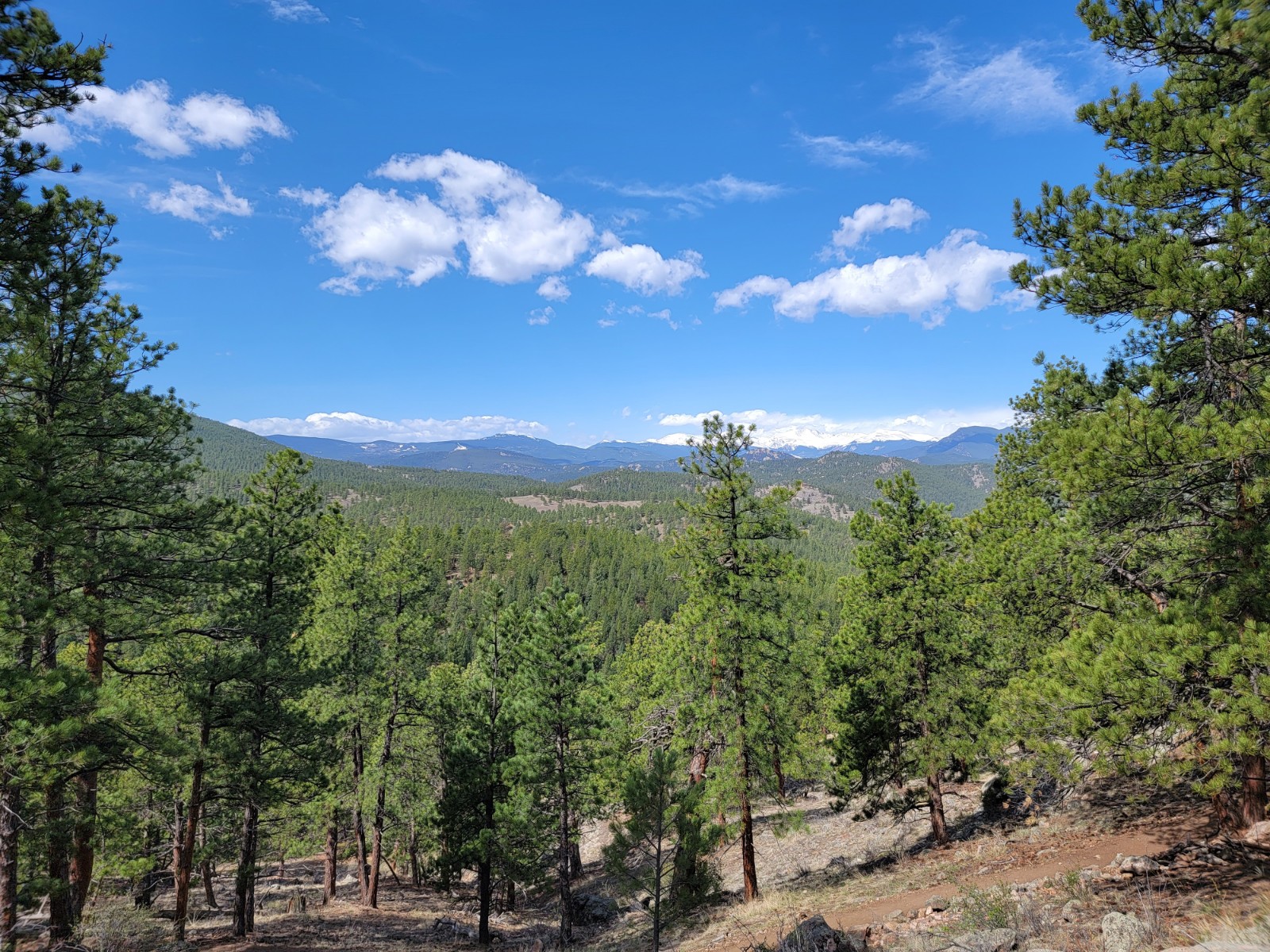 Corwina Park - Panorama Point Trail banner image