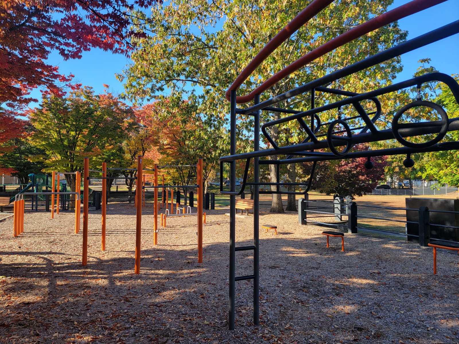 Corliss Park banner image