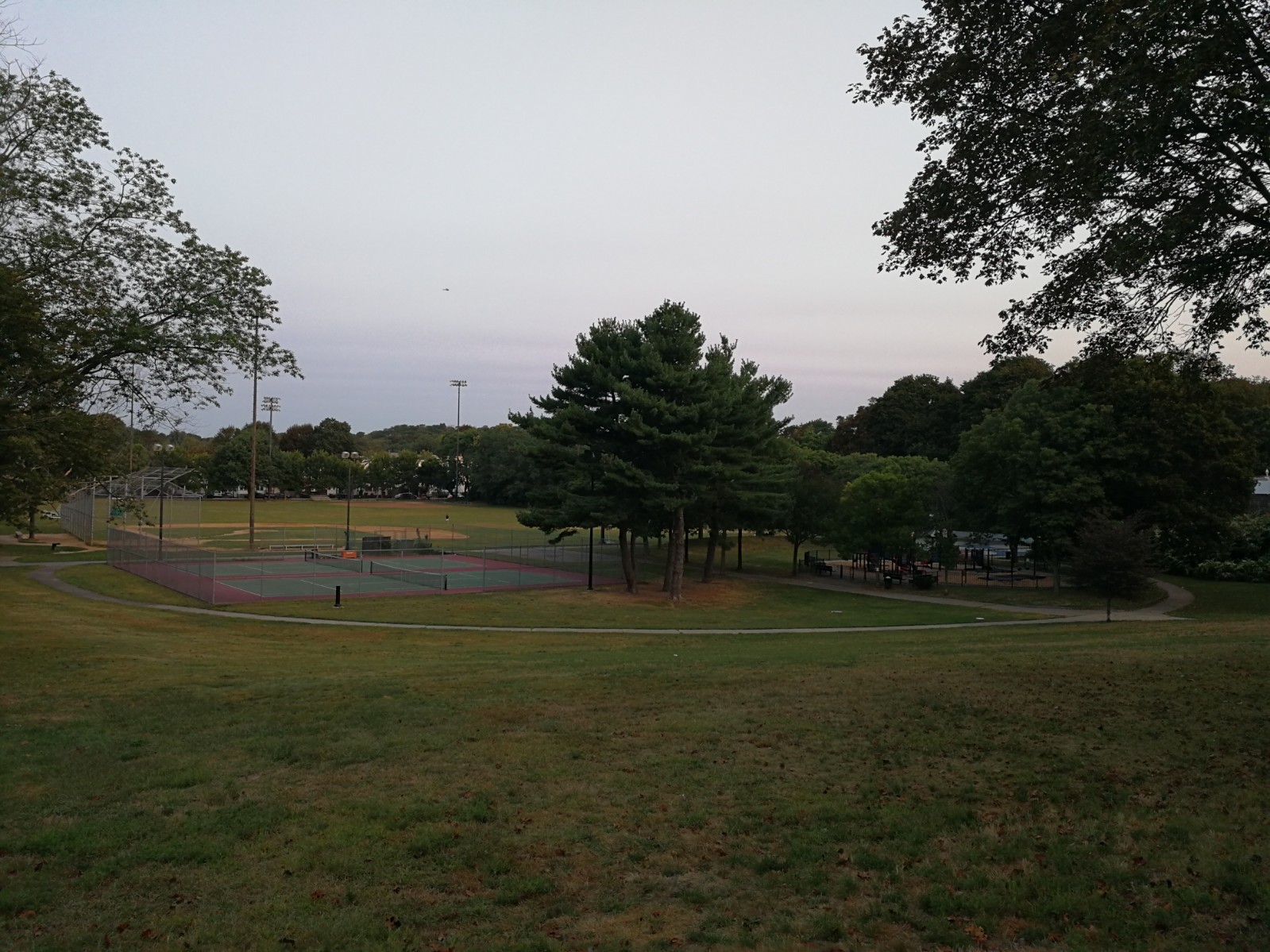 IMG_20170911_063606.jpg