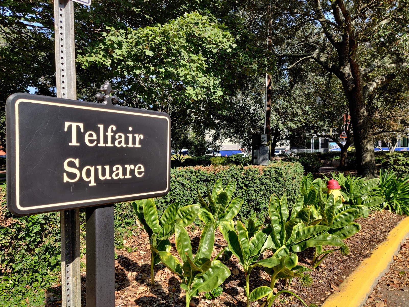 Telfair Square banner image