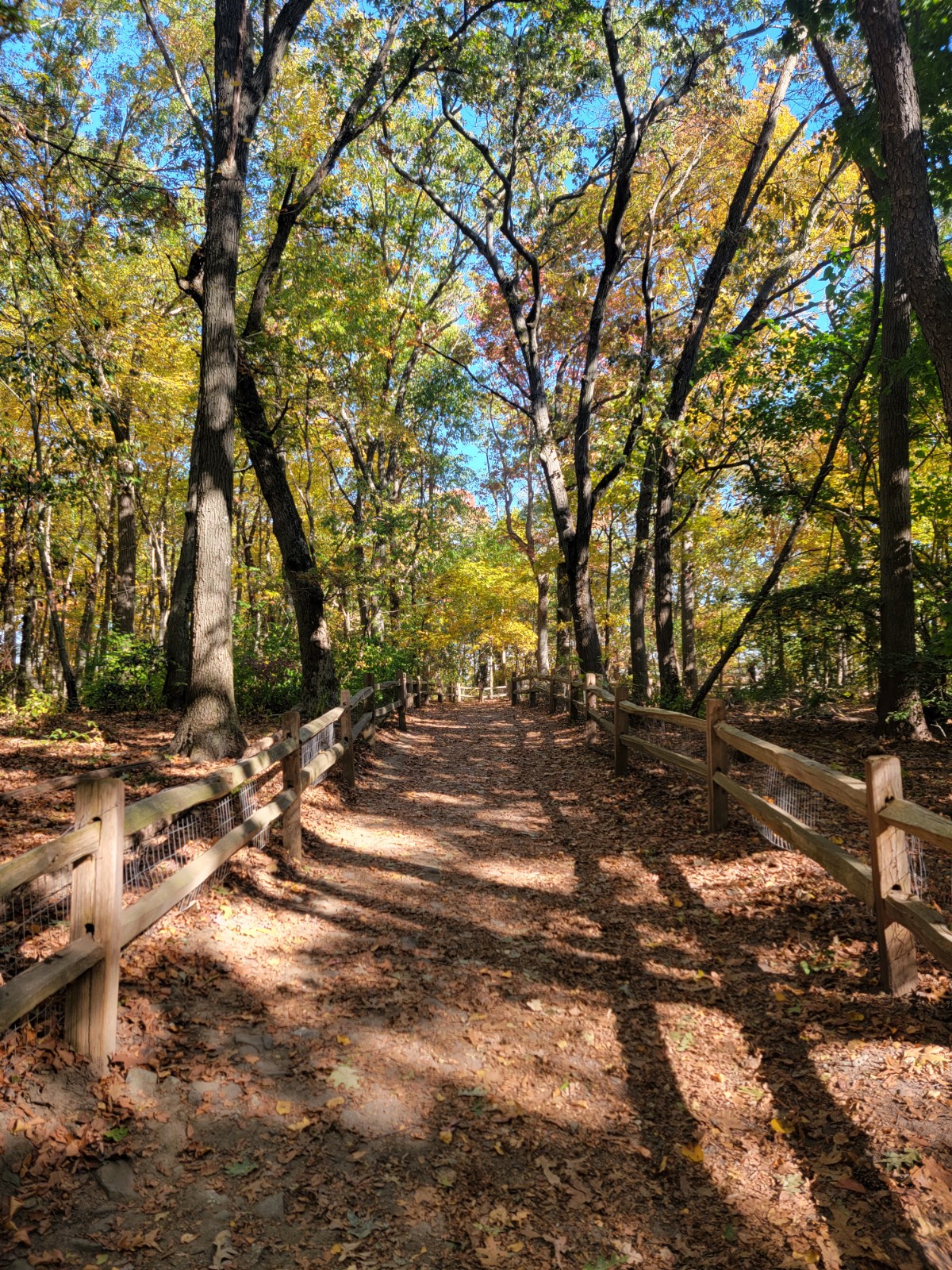 Blackstone Park Conservation District banner image