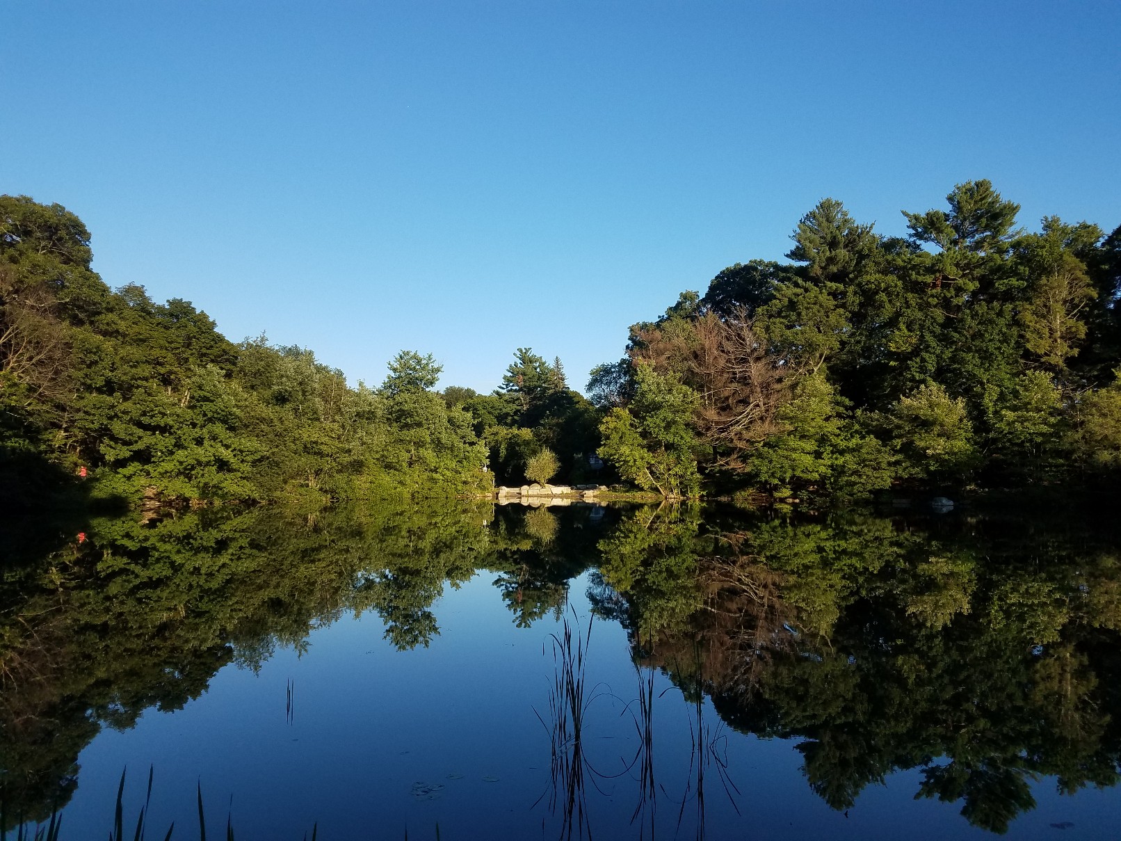 Menotomy Rocks Park banner image