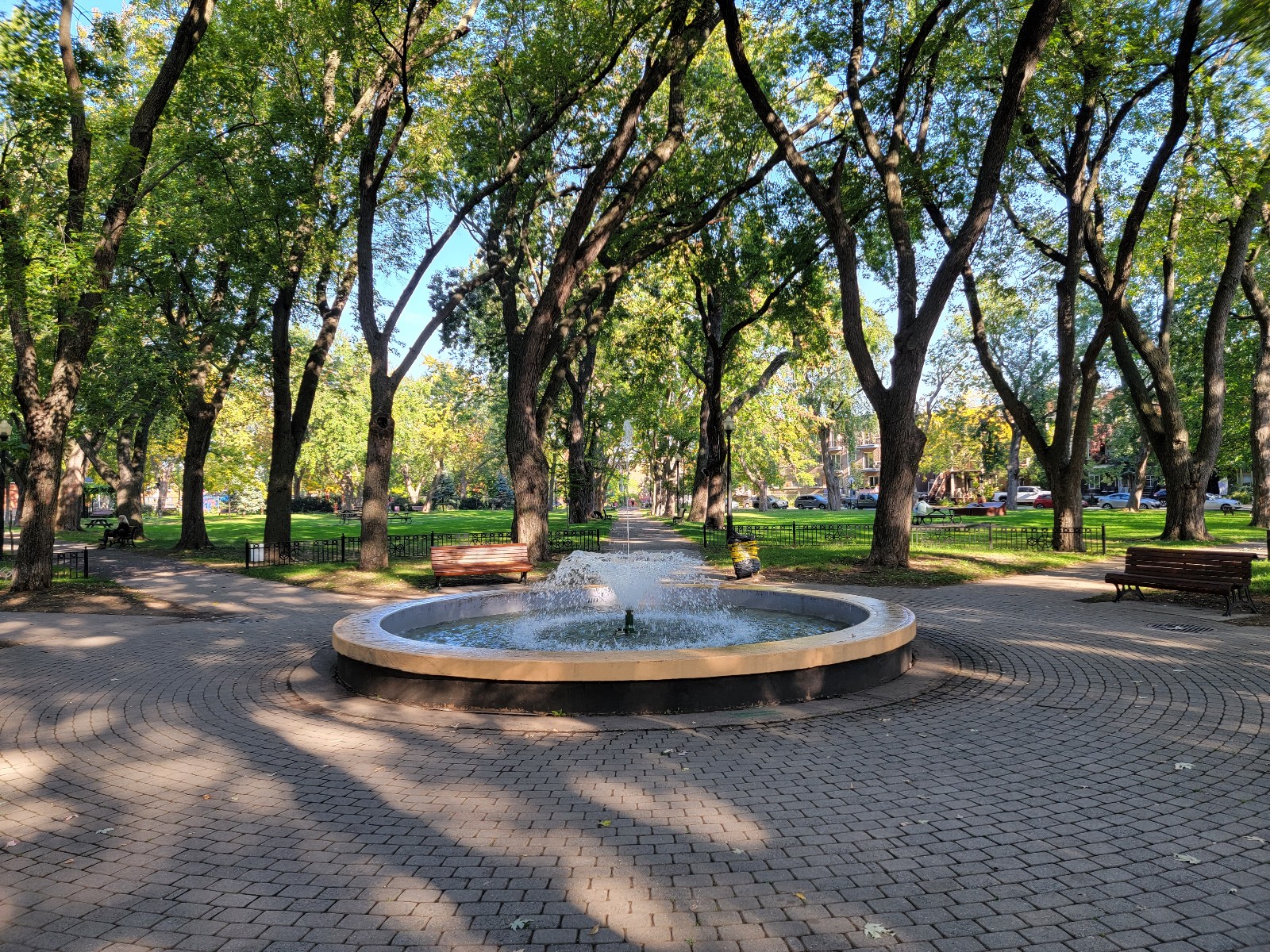 Parc Baldwin banner image