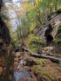 Franconia Notch State Park - Flume Gorge banner image