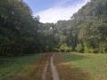 IMG_20171005_133104.jpg