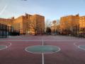 IMG_20200212_072615.jpg