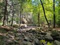 Willard Brook State Forest - Trap Falls banner image