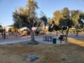 Los Olivos Park banner image