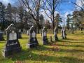 Pine Grove Cemetery banner image