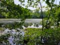Beaver Brook Reservation - Historic Mill Ponds banner image