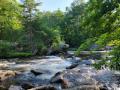 Wildcat Falls Conservation Area banner image