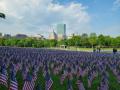 Boston Common banner image
